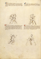The Flower of Battle MS Ludwig XV13 – Colin Hatcher Translation