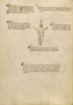The Flower of Battle MS Ludwig XV13 – Colin Hatcher Translation